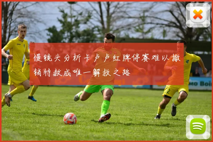 慢镜头分析卡卢卢红牌停赛难以撤销特赦成唯一解救之路